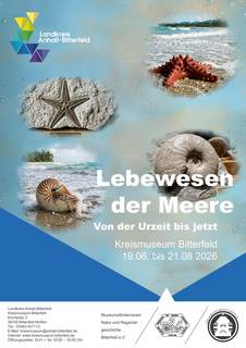 lebewesen der meere plakat