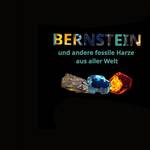 bernstein plakat wb
