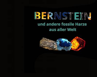 bernstein plakat wb